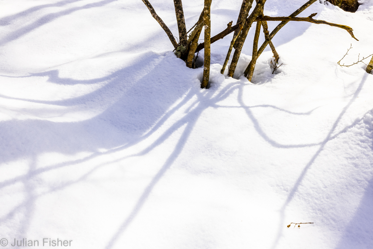  Winter minimalism 6 Moose Hill Preserve Sharon, MA 