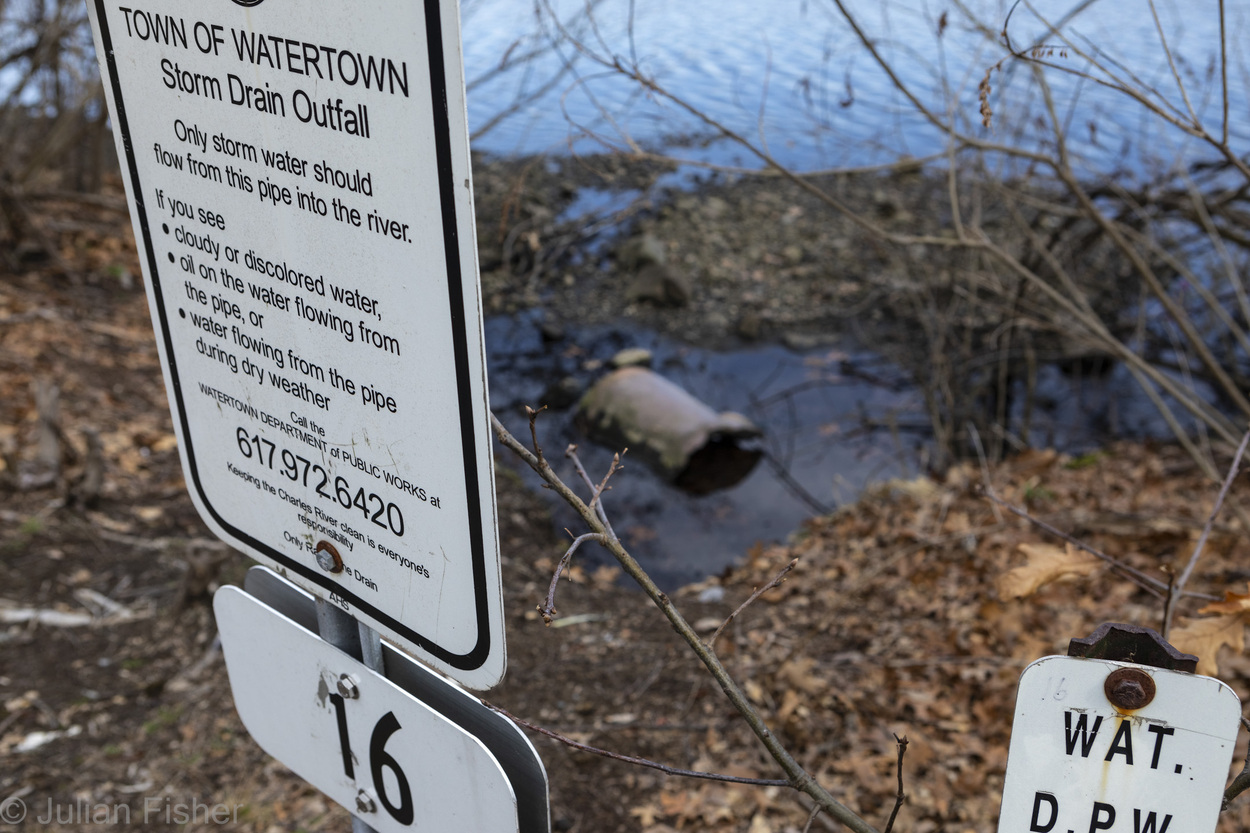 sign near wetlands