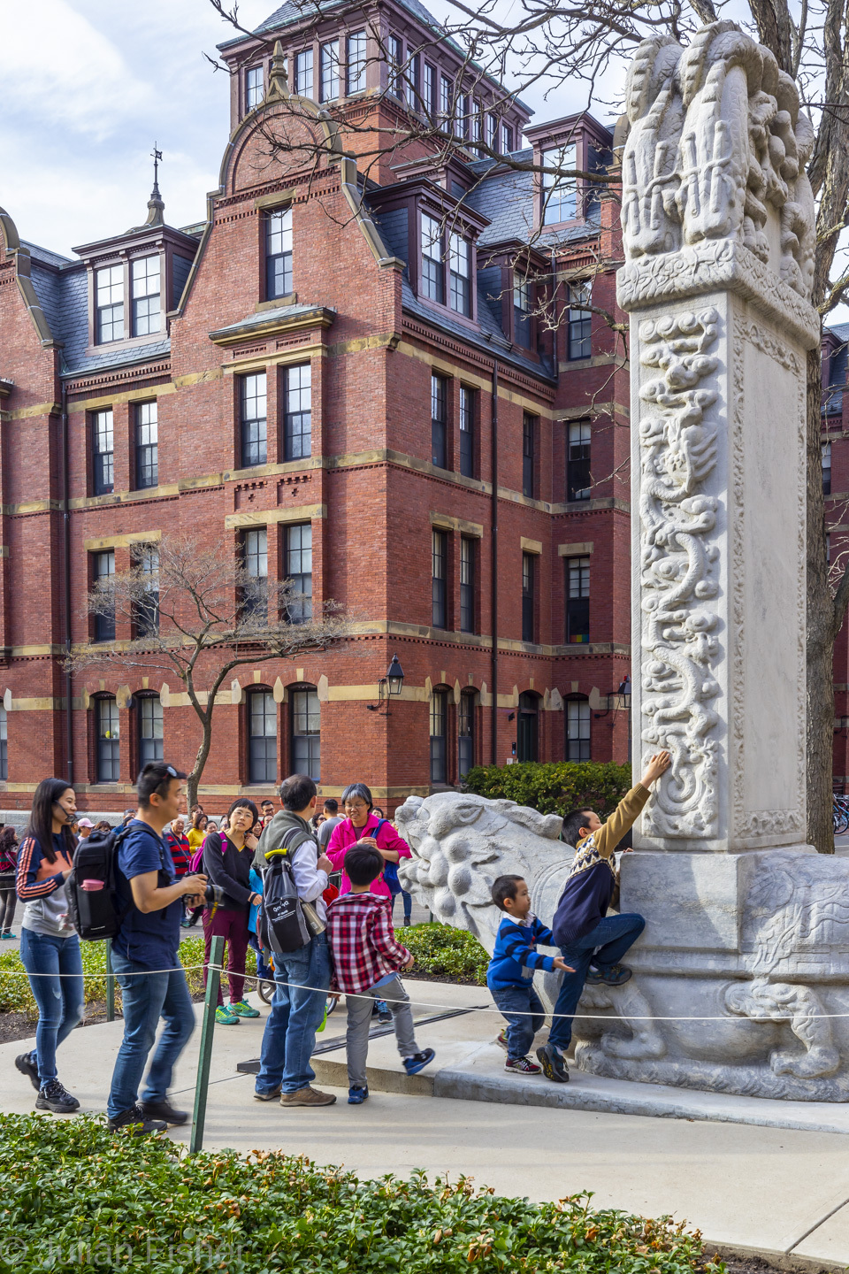 students on harvard's campus