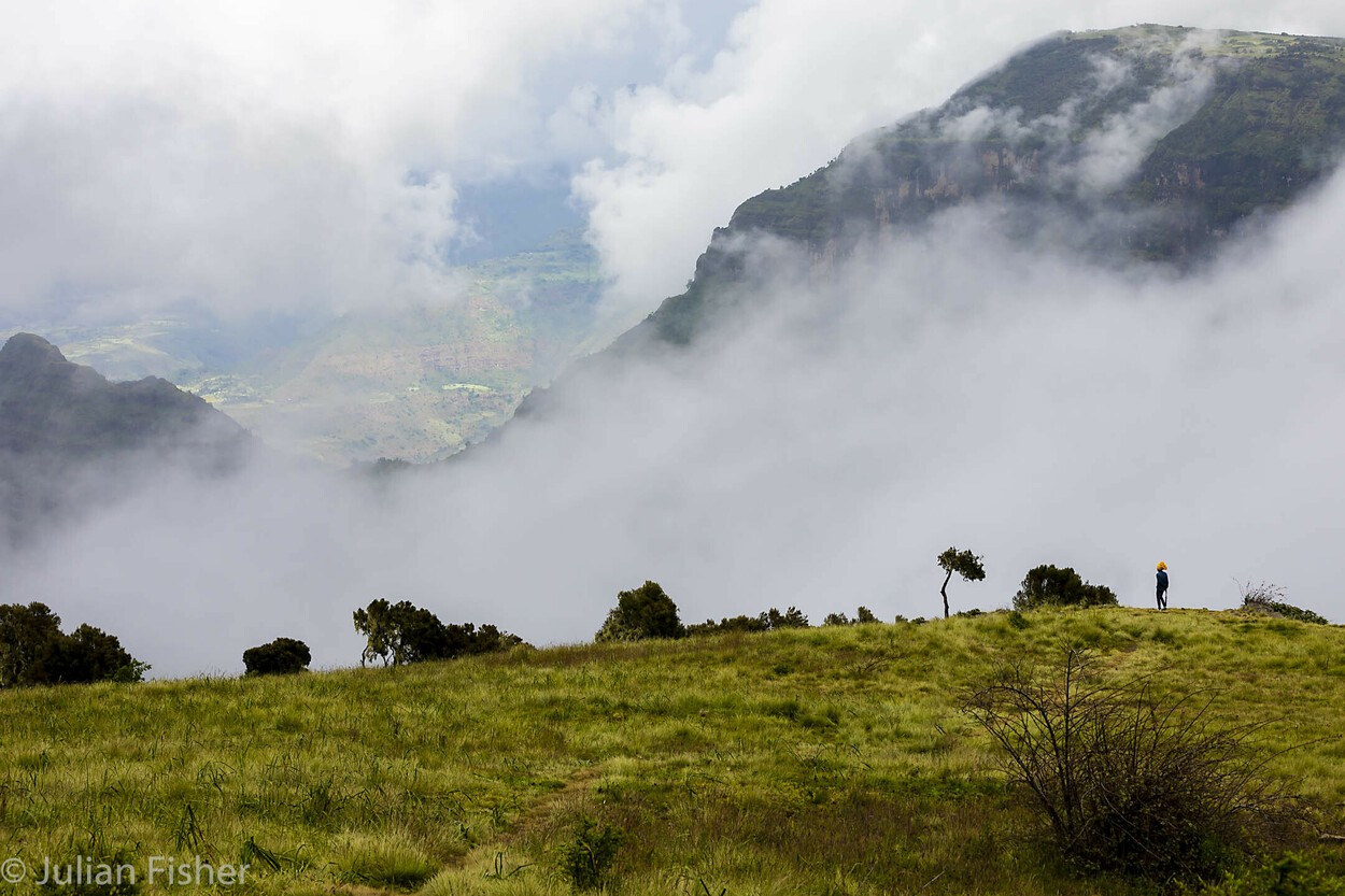  Observer Simien Mountains National Park, Ethiopia